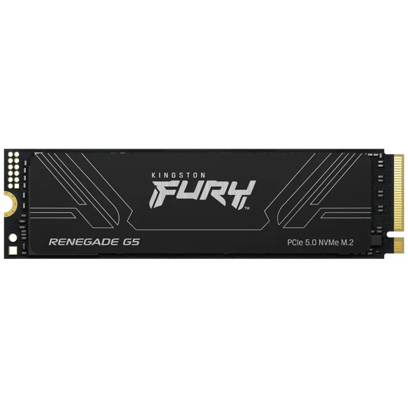 SSD KINGSTON FURY 1TB RENEGADE G5