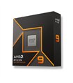 CPU AMD RYZEN 9 9900X